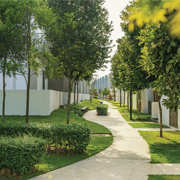 A Home For Nature 